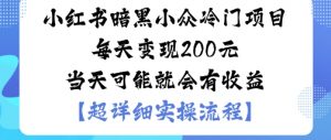小红书暗黑小众冷门项目每天变现2张当天可能就会有收益-沐风资源库