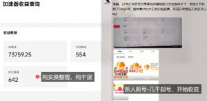 游戏加速器项目4.0_最新打法思路（爱玩游戏也能边玩边被动收益）-沐风资源库