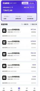 2025风口TK剪映capcut拉新项目，极限高客单，市场空白，2025下半年真正的蓝海项目-沐风资源库