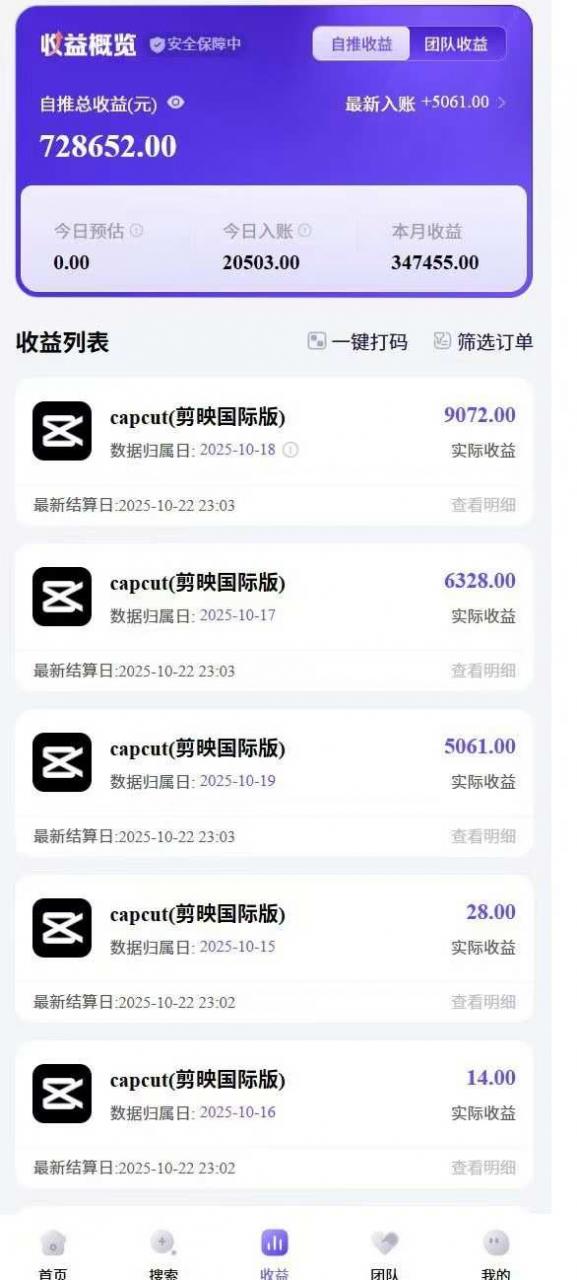 2025风口TK剪映capcut拉新项目，极限高客单，市场空白，2025下半年真正的蓝海项目-沐风资源库