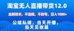 淘宝无人直播12.0，公域私域技术，不封号，不违规布局双十一流量风口，日入1k（独家技术）【揭秘】-沐风资源库