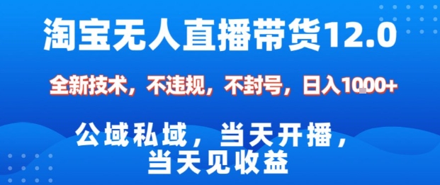 淘宝无人直播12.0，公域私域技术，不封号，不违规布局双十一流量风口，日入1k（独家技术）【揭秘】-沐风资源库
