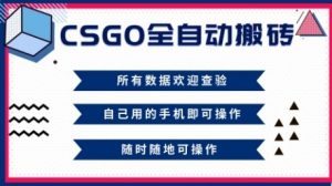 CSGO全自动搬砖，年底钱回家好项目，当天可拿到结果，新手小白轻松月入1W+【揭秘】-沐风资源库