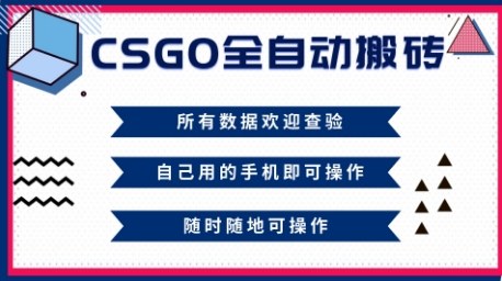 CSGO全自动搬砖，年底钱回家好项目，当天可拿到结果，新手小白轻松月入1W+【揭秘】-沐风资源库
