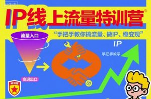 IP线上流量特训营，手把手教你搞流量、做IP、稳变现-沐风资源库