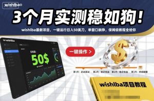 3个月实测稳如狗！wishlba最新项目，一键运行日入50美刀，单窗口躺挣，保姆级教程全给你【揭秘】-沐风资源库