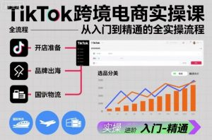 TikTok跨境电商实操课，从入门到精通的全实操流程-沐风资源库