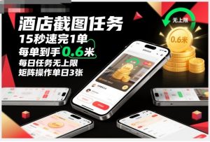 酒店截图任务，15秒速完1单，每单到手0.6米，每日任务无上限，全网首发玩法，矩阵操作单日3张【揭秘】-沐风资源库