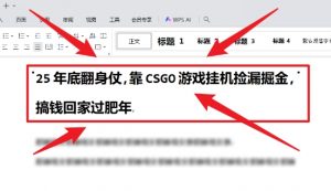 25年底翻身仗，靠CSGO游戏挂G捡漏掘金，搞钱回家过肥年【揭秘】-沐风资源库
