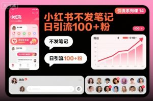 引流系列课14：小红书不发笔记日引流100+粉-沐风资源库
