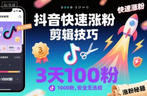 抖音快速涨粉剪辑技巧，3天1000粉，安全无违规-沐风资源库