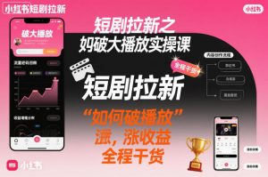 短剧拉新之小红书如何破大播放实操课，如何破播放，涨收益，全程干货-沐风资源库