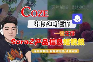 Coze扣子智能体工作流一键生成“SORA2产品信息“短视频，全流程保姆级教学-沐风资源库