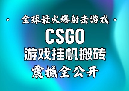 【年底大揭秘】基于全球最火爆的射击CSGO游戏挂G搬砖，日入5张+，震撼公开-沐风资源库