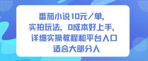 番茄小说10米每单，实拍玩法，0成本好上手，详细实操教程和平台入口适合大部分人-沐风资源库