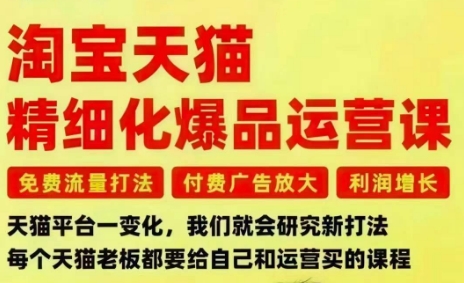 淘宝天猫精细化爆品运营课，免费流量打法-付费广告放大-利润增长-三大核心痛点，一次全部解决-沐风资源库