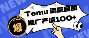 专注于Temu商家提供精准曝光浏览量，助力店铺排名提升和转化，单机日收入80-130【揭秘】-沐风资源库