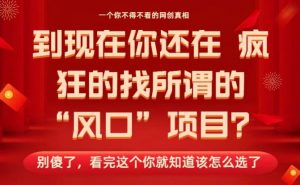 马上26年了，你还在找所谓的风口项目？别傻了，看完这个你全都懂了！【揭秘】-沐风资源库