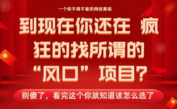 马上26年了，你还在找所谓的风口项目？别傻了，看完这个你全都懂了！【揭秘】-沐风资源库