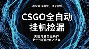 【稳定副业】全球最热门游戏CSGO全自动捡漏，最新玩法，新手小白日入5张+【揭秘】-沐风资源库