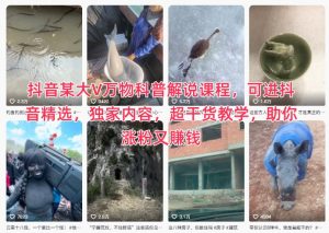 抖音某大V万物科普解说课程，可进抖音精选，独家内容，超干货教学，助你涨粉又賺钱-沐风资源库