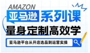 亚马逊新手开店从入门到精通，全面覆盖亚马逊开店各阶段要点，助新手从入门到精通-沐风资源库