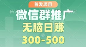 首发项目，微信群推广掘金，多号矩阵无脑日入3-5张【揭秘】-沐风资源库