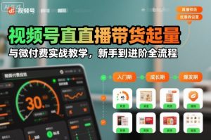 视频号直播带货起量与微付费实战教学，新手到进阶全流程-沐风资源库