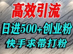 怎么打创业粉？快手求带视角精准引流创业粉，宝妈、学生群体日进500+精准流量-沐风资源库
