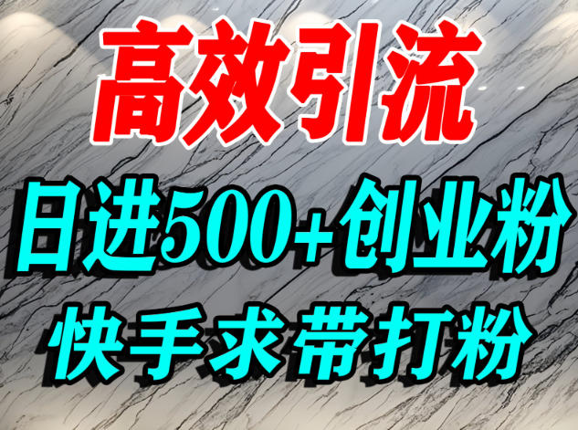 怎么打创业粉？快手求带视角精准引流创业粉，宝妈、学生群体日进500+精准流量-沐风资源库