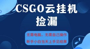 CSGO云挂G全自动捡漏，最新独家玩法，无需电脑操作，新手小白日入5张+【揭秘】-沐风资源库