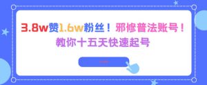 3.8w赞1.6w粉丝，邪修普法账号，教你十五天快速起号-沐风资源库