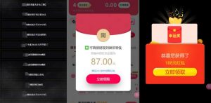 网络项目万能辅助工具_万能配合拉新项目吃遍提成-沐风资源库