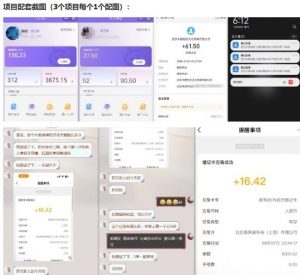 当天能收益的3个小项目拆解_包括平台+操作流程-沐风资源库