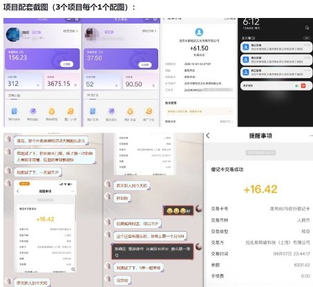 当天能收益的3个小项目拆解_包括平台+操作流程-沐风资源库