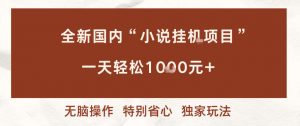 全新国内小说挂G项目，多窗口无脑跑，一天轻松1k+，特别省心【揭秘】-沐风资源库