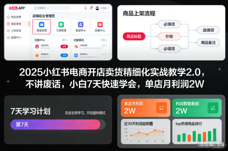 2025小红书电商开店卖货精细化实战教学2.0，不讲废话，小白7天快速学会，单店月利润2W-沐风资源库