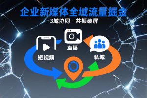短视频全域商业模式，企业新媒体全域流量掘金，3域协同，共振破屏，短视频-直播-私域-地域-沐风资源库