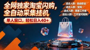 全网独家淘宝闪购，全自动采集，操作简单无脑，单人窗口轻松日入40+【揭秘】-沐风资源库