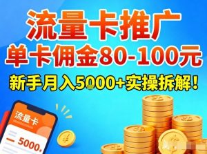 流量卡推广，单卡佣金80-100，新手月入5k+实操拆解！-沐风资源库