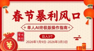 春节暴利风口项目，单人AI落地翻身终极版实操-沐风资源库