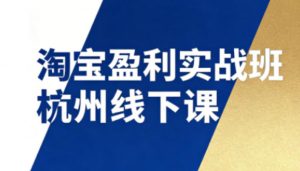 淘宝盈利实战班杭州线下课12月26-28日（音频+字幕），帮你掌握SOP流程+12门核心技术-沐风资源库