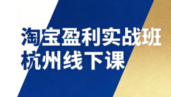 淘宝盈利实战班杭州线下课12月26-28日（音频+字幕），帮你掌握SOP流程+12门核心技术-沐风资源库
