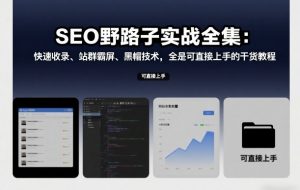 SEO野路子实战全集：快速收录、站群霸屏、黑帽技术，全是可直接上手的干货教程-沐风资源库