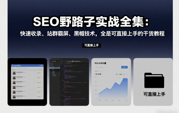 SEO野路子实战全集：快速收录、站群霸屏、黑帽技术，全是可直接上手的干货教程-沐风资源库