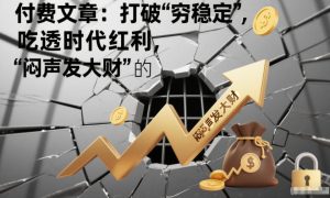 付费文章：打破“穷稳定”，吃透时代红利，“闷声发大财”的终极真谛-沐风资源库