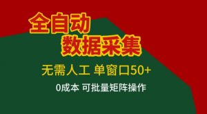 全自动数据采集，无需人工，单窗口50+，0成本可批量矩阵操作【揭秘】-沐风资源库