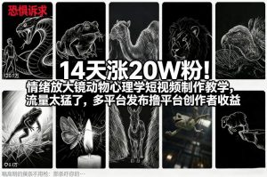 14天涨20W粉！情绪放大镜动物心理学短视频制作教学，流量太猛了，多平台发布撸平台创作者收益-沐风资源库