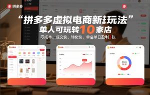 拼多多虚拟电商新玩法，单人可玩转10家店，零成本、成交快、转化快，单店单日盈利3张【揭秘】-沐风资源库