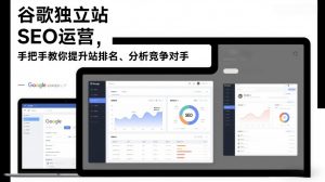 谷歌独立站SEO运营,手把手教你提升网站排名、分析竞争对手(更新2026)-沐风资源库